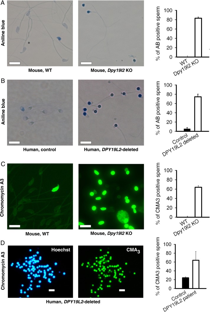 Figure 5