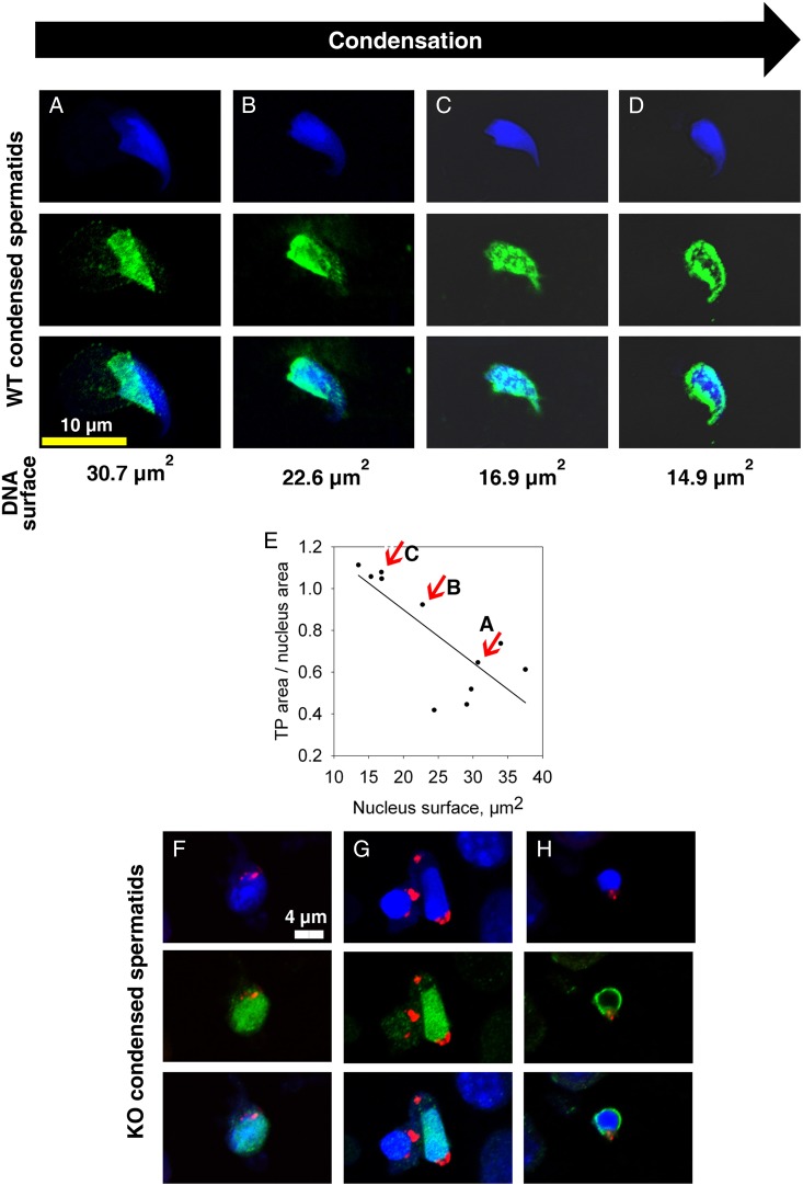 Figure 3