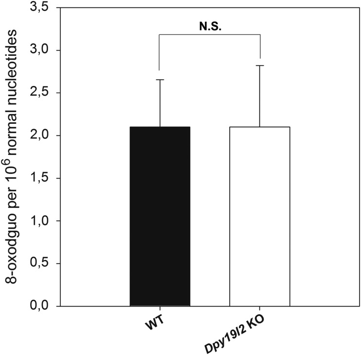 Figure 7