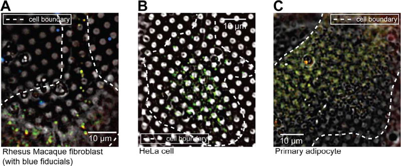 Fig. 2