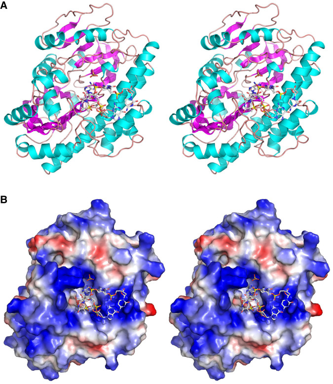 FIGURE 2.