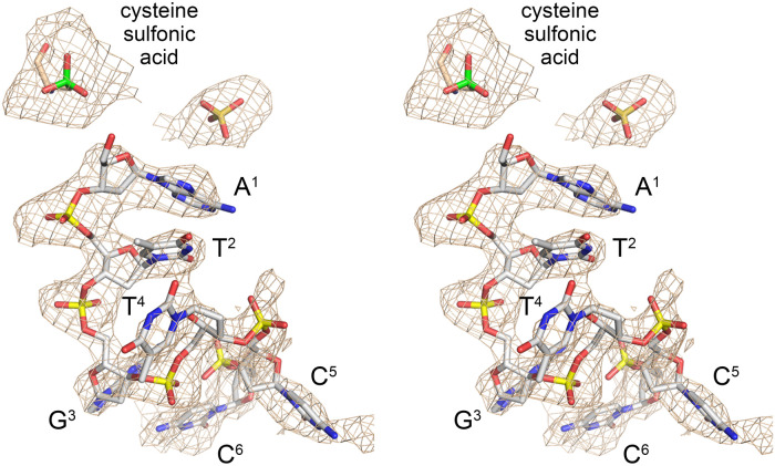 FIGURE 1.