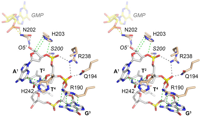 FIGURE 4.