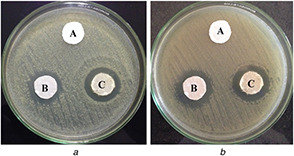 Fig. 9