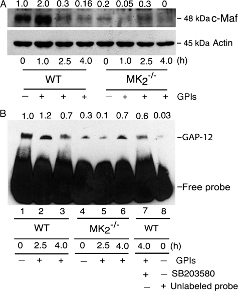 FIGURE 9.