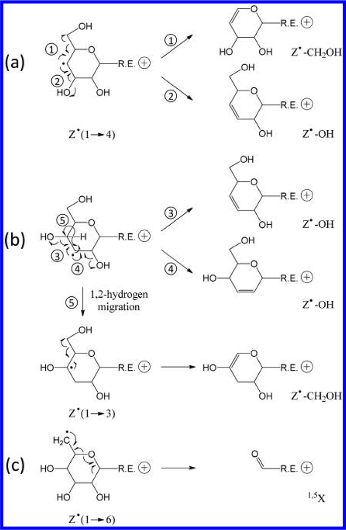 Scheme 2.