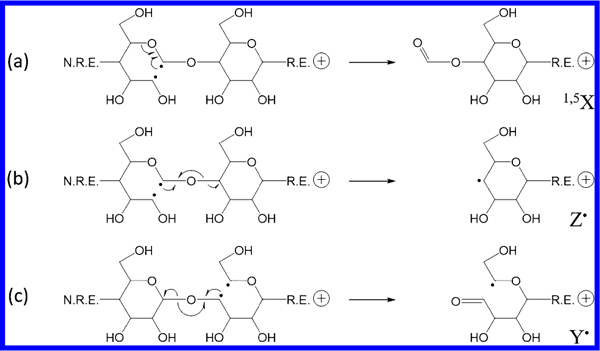 Scheme 1.