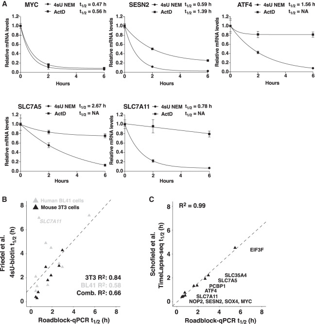 FIGURE 4.