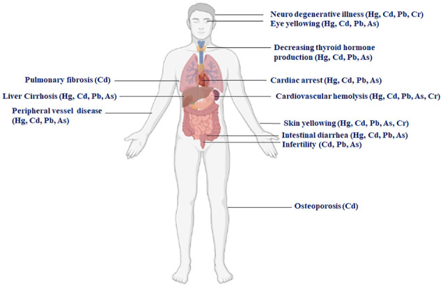 Figure 5.