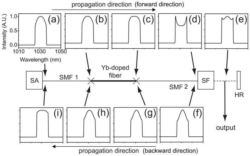 Fig. 1