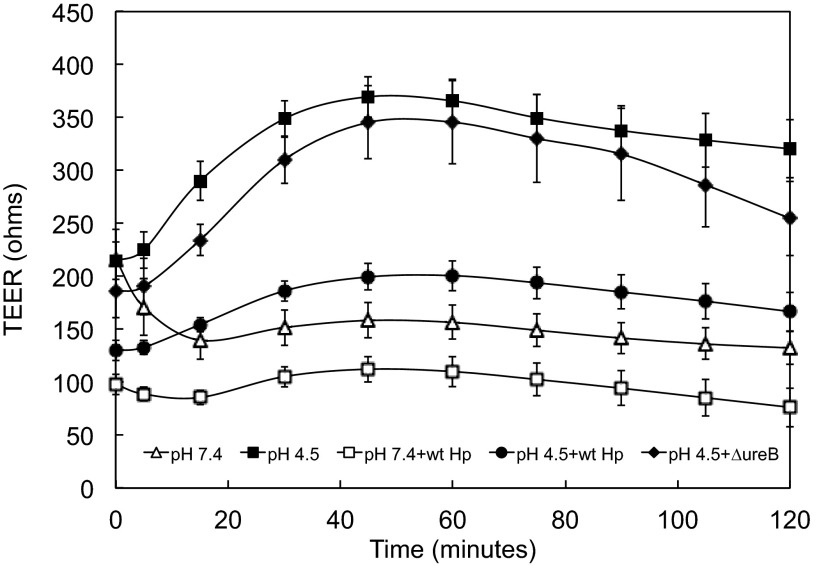 Fig. 3.