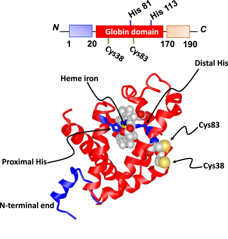 Fig. 1