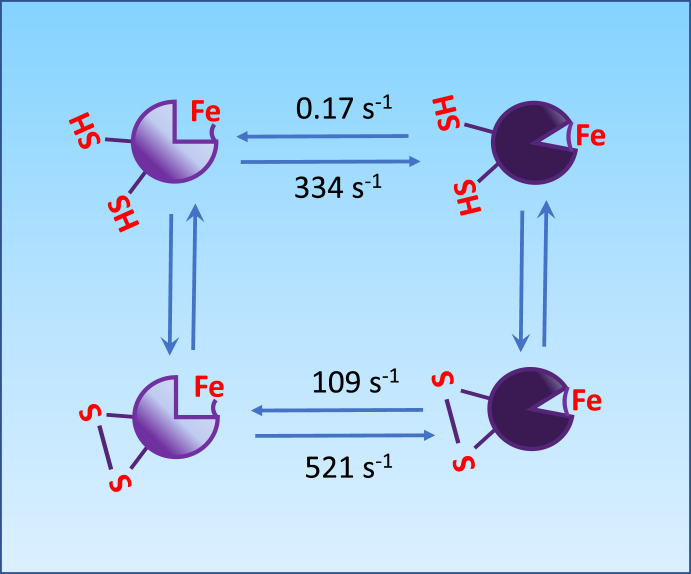 Fig. 2