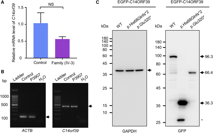 Figure 2