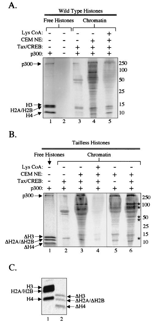 FIG. 9.