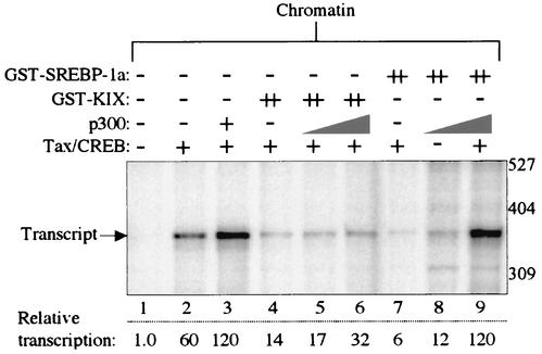 FIG. 5.