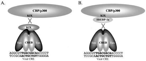 FIG. 2.