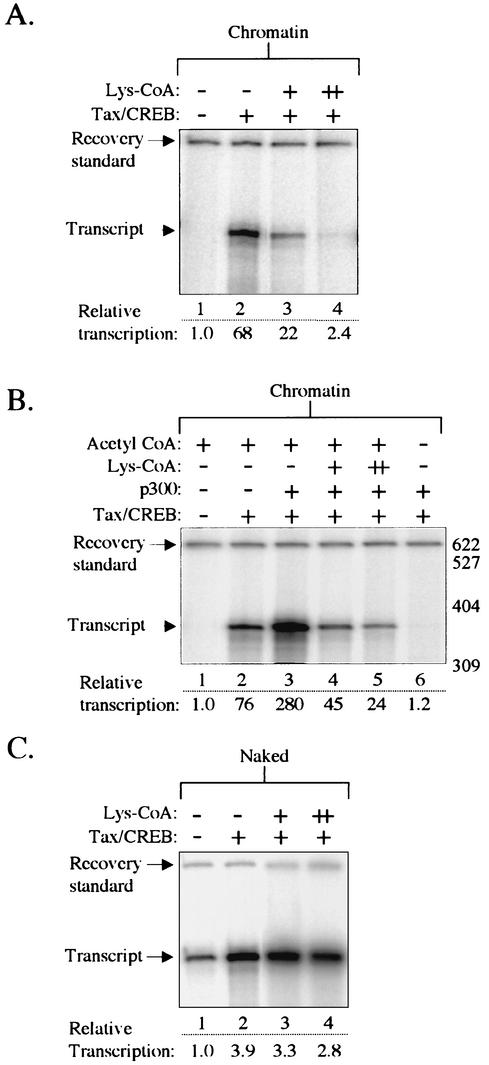 FIG. 6.