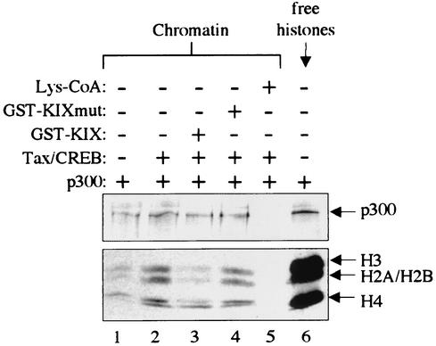 FIG. 7.