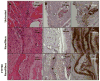 Fig 7