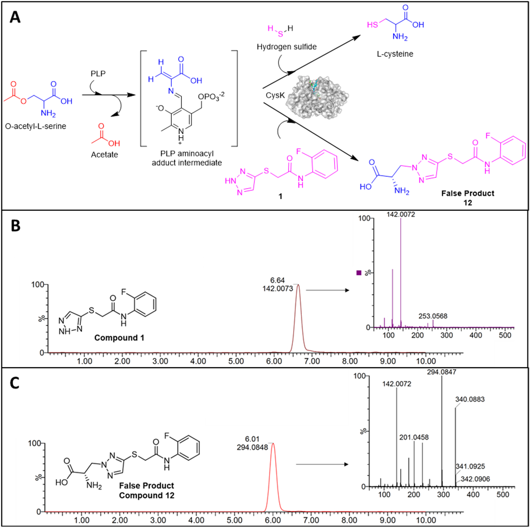 Figure 6.