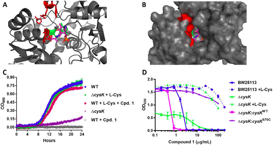 Figure 4.