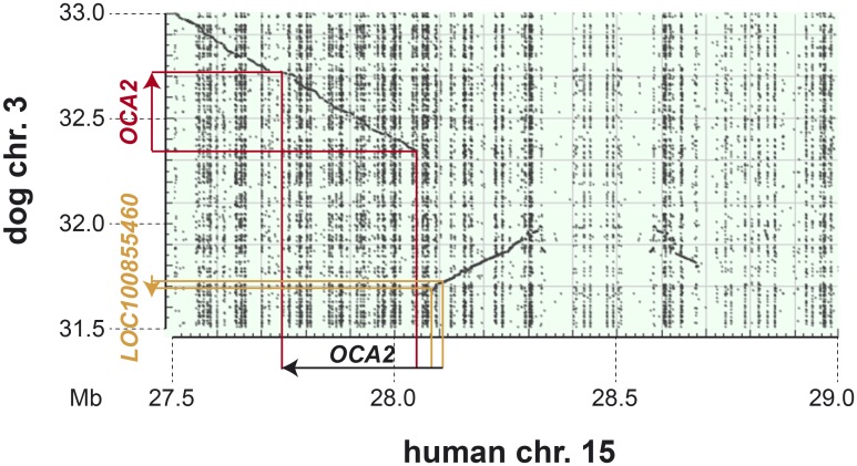 Fig 4