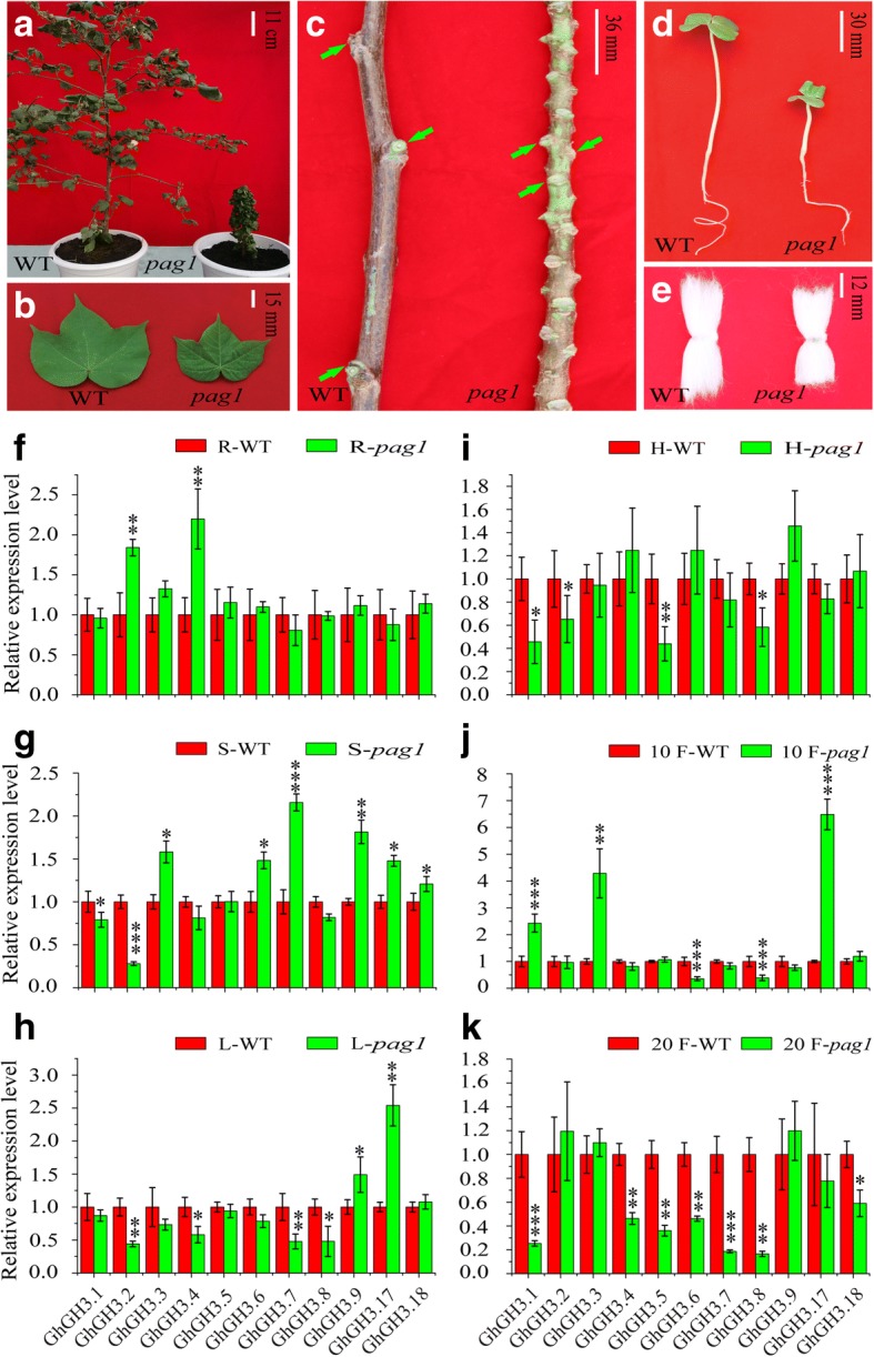 Fig. 7