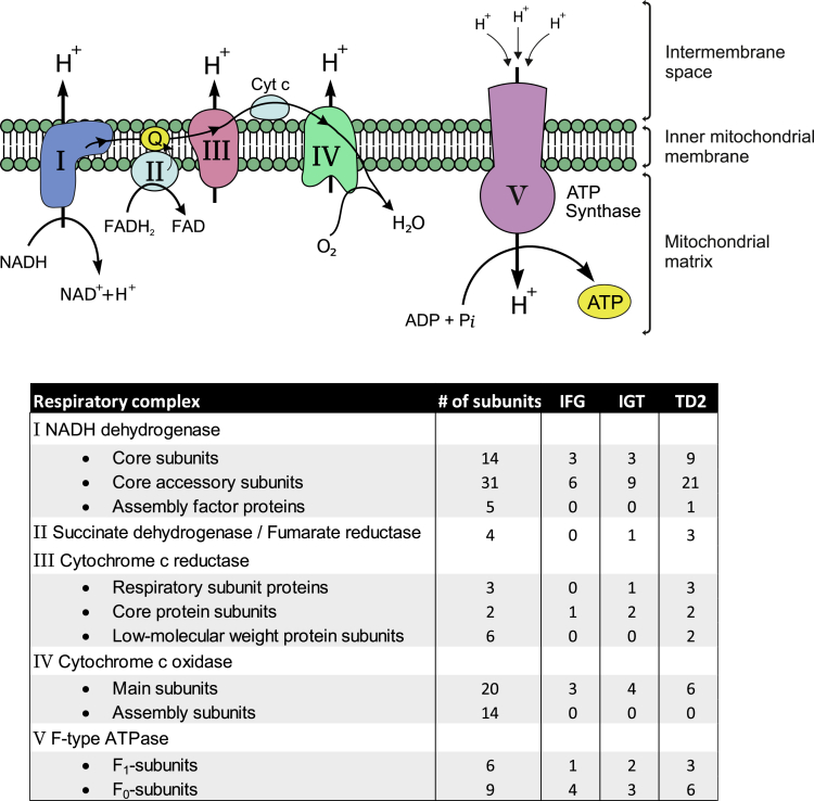 Figure 5