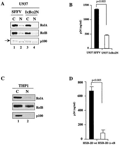 FIG. 1