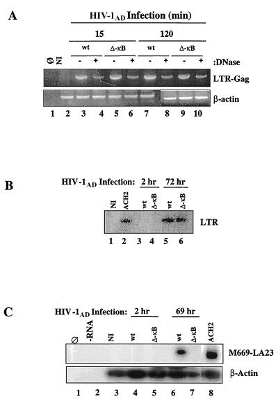 FIG. 6