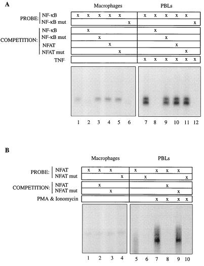 FIG. 5