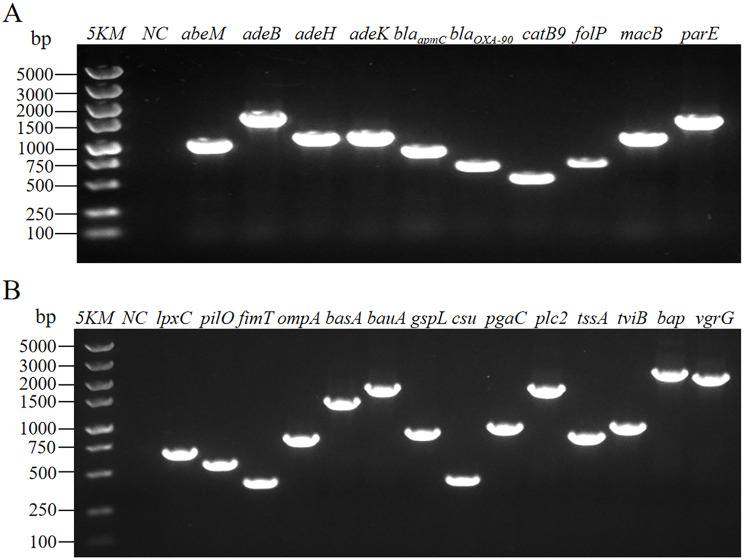 Fig. 11