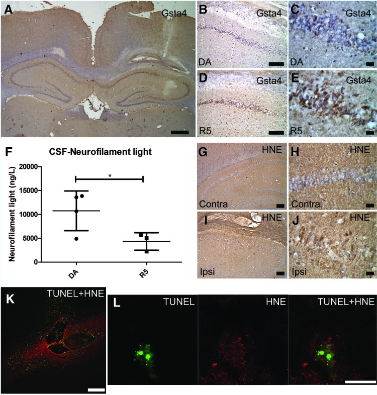 FIG. 6.