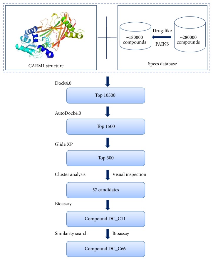 Figure 1