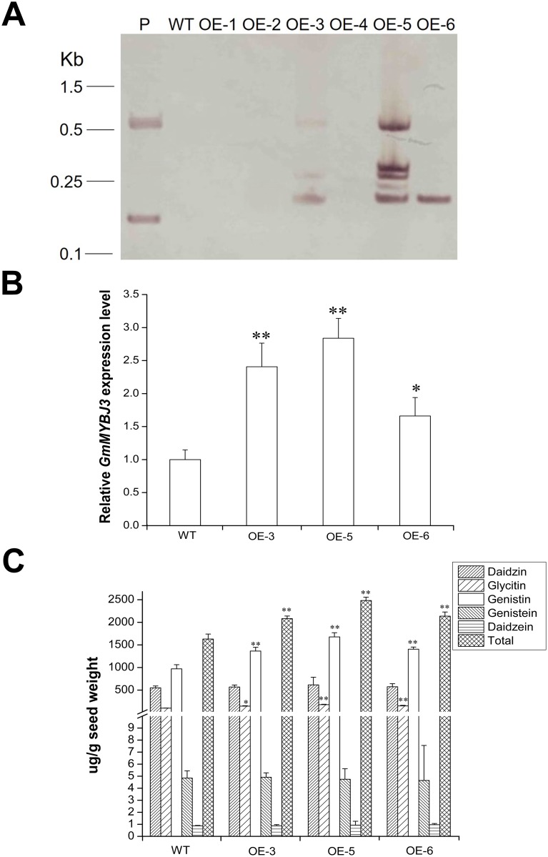 Fig 7