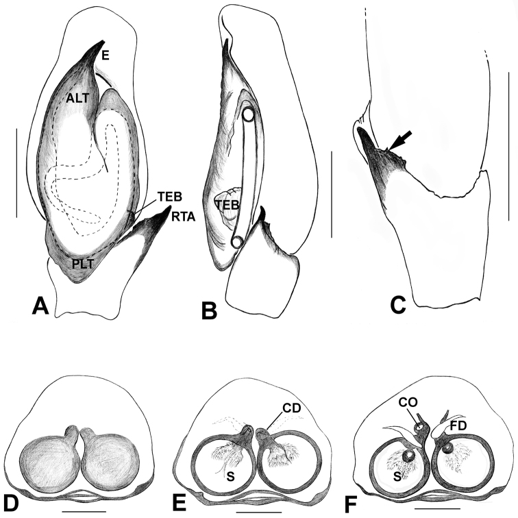 Figure 33.