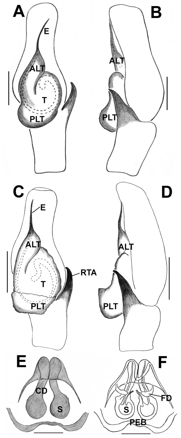 Figure 20.