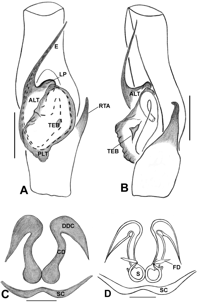 Figure 7.