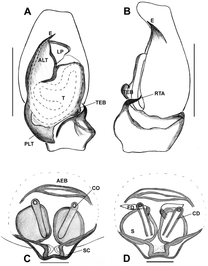 Figure 36.