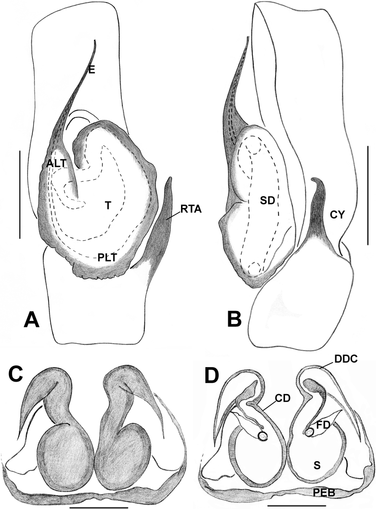 Figure 11.