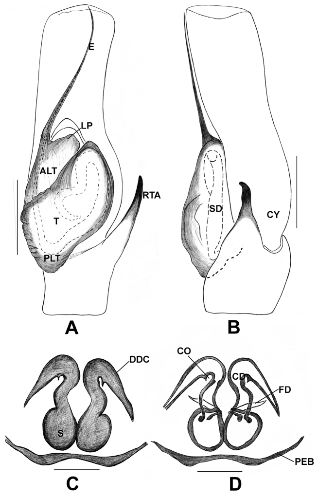 Figure 18.