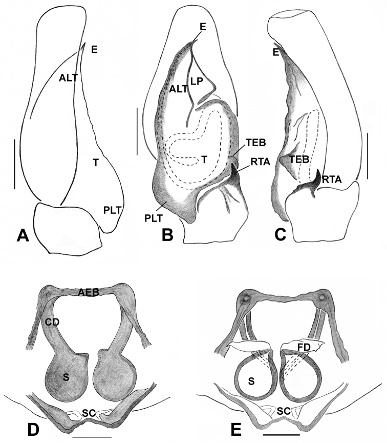 Figure 30.