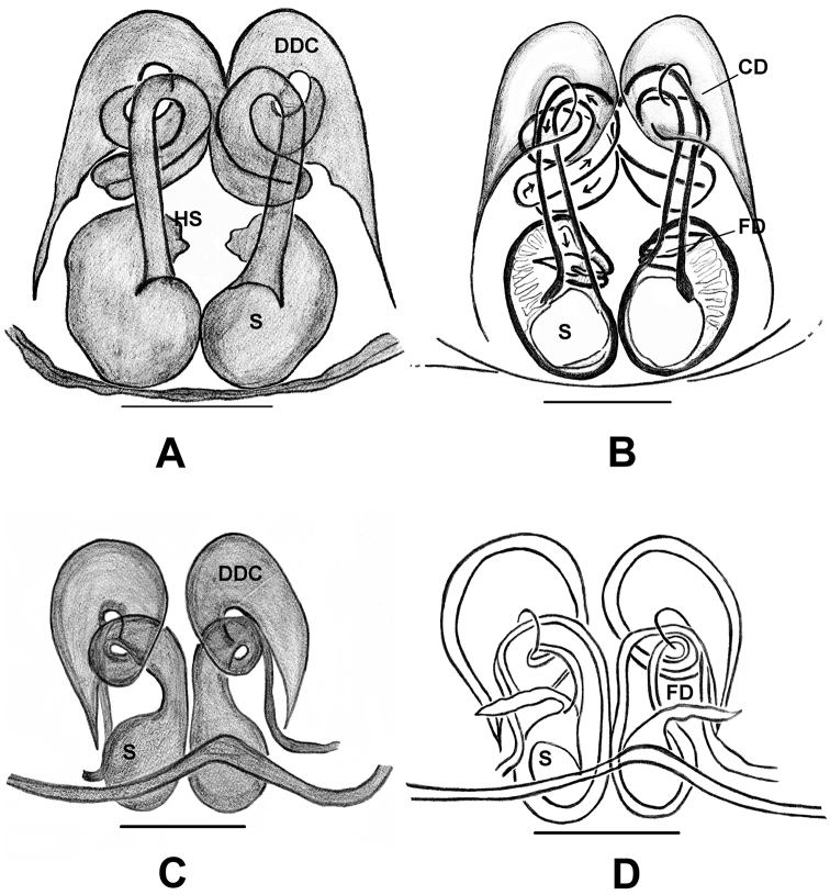 Figure 13.