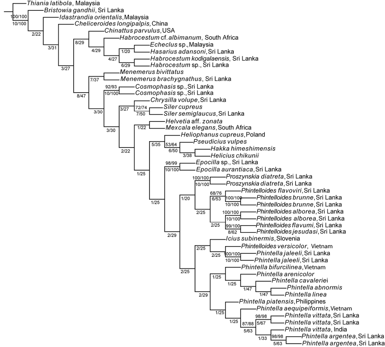 Figure 2.