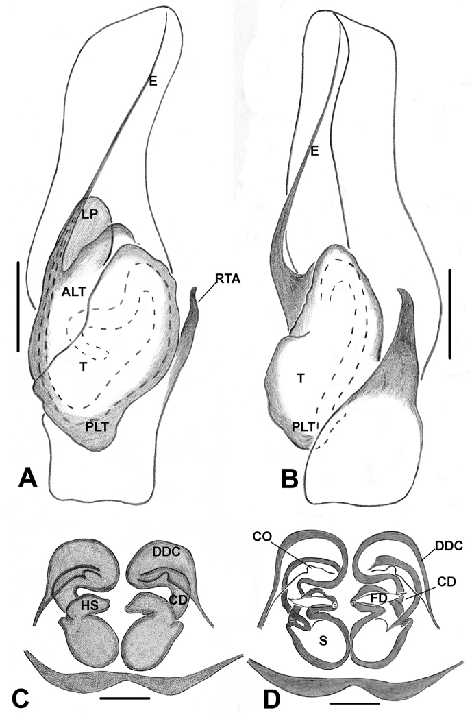 Figure 16.