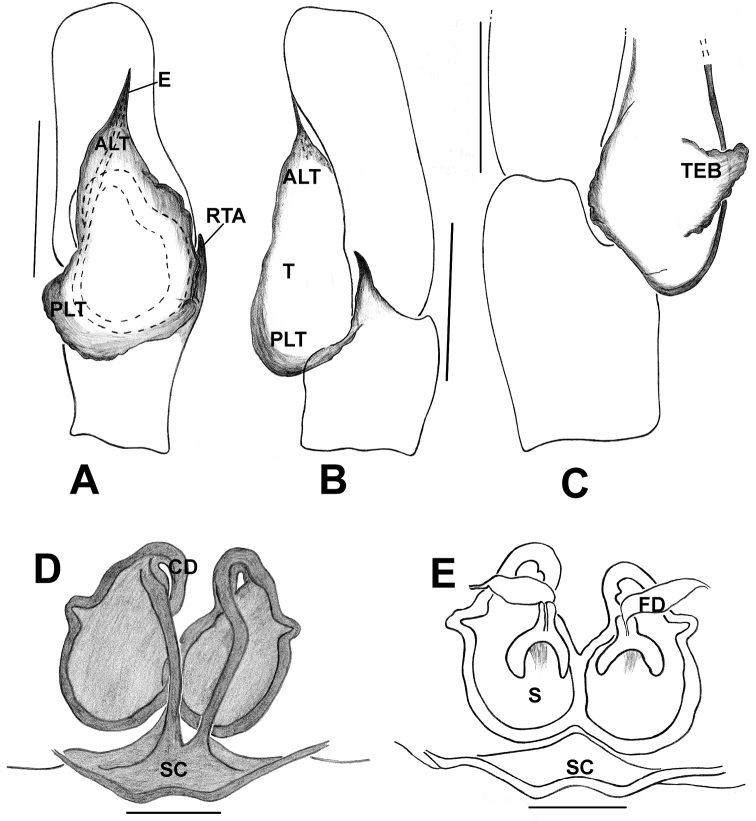 Figure 25.