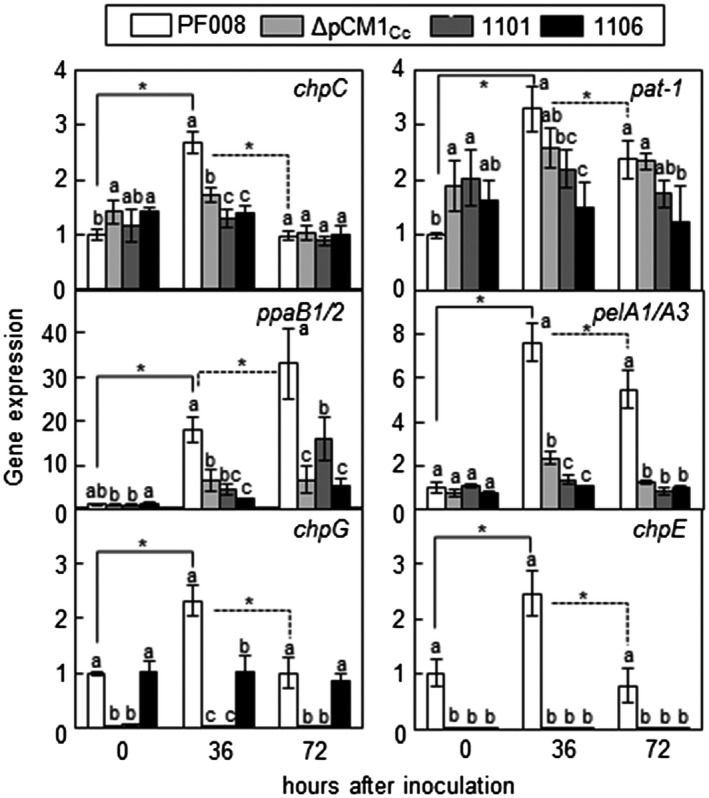 FIGURE 4