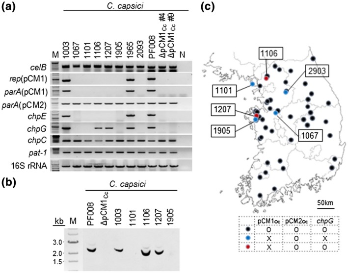 FIGURE 2