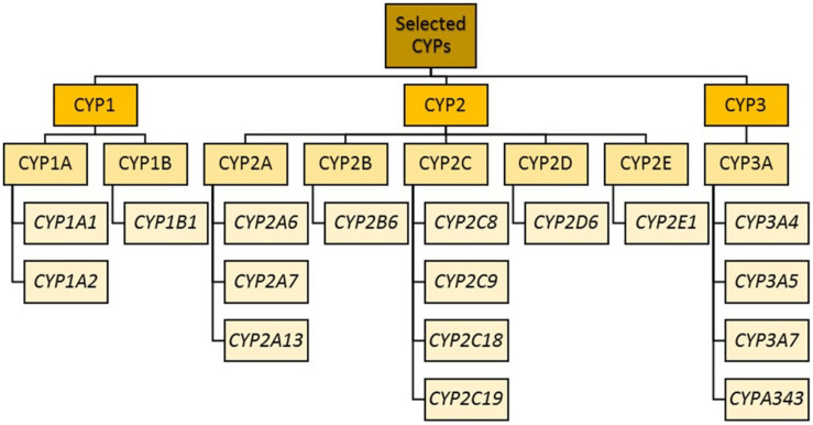 FIGURE 1